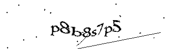 CAPTCHA Image